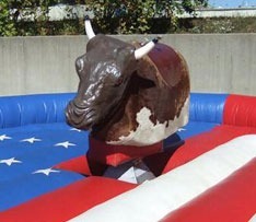 mechanical bull cat WHY YOU NEED A MECHANICAL BULL AT YOUR EVENT