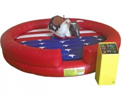 Mechanical Bull with Staff