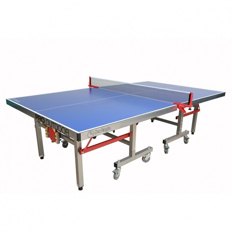 Ping Pong Table