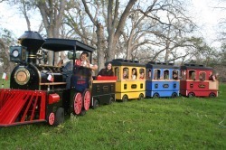 Premium Trackless Train with Staff