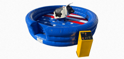 Mechanical Bull with Staff